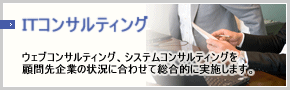 ＩＴコンサルティング
